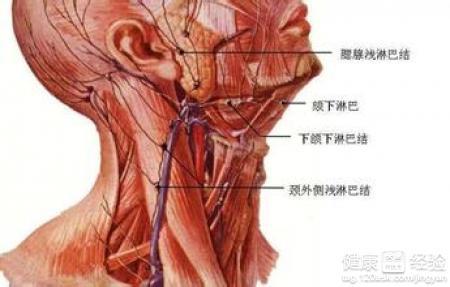 淋巴瘤最新研究進展及治療方法概述