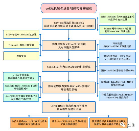 彩鋼板 第53頁